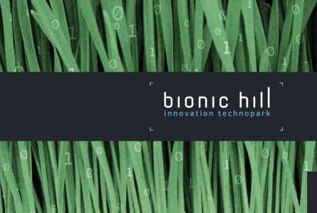 Bionic-hill